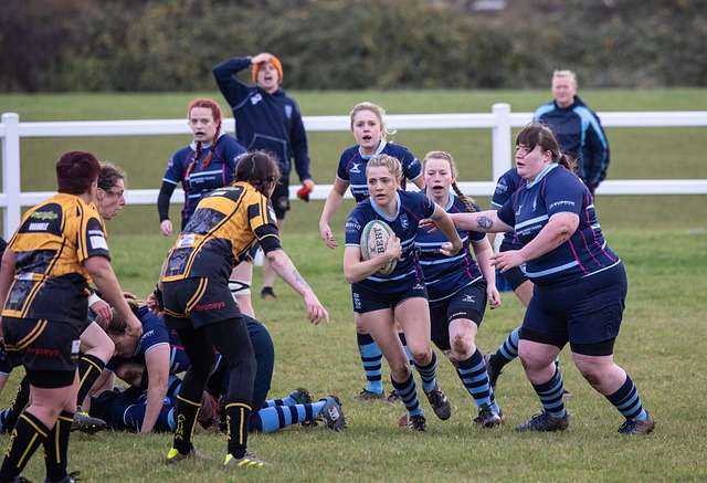 高风险的比 高风险的比